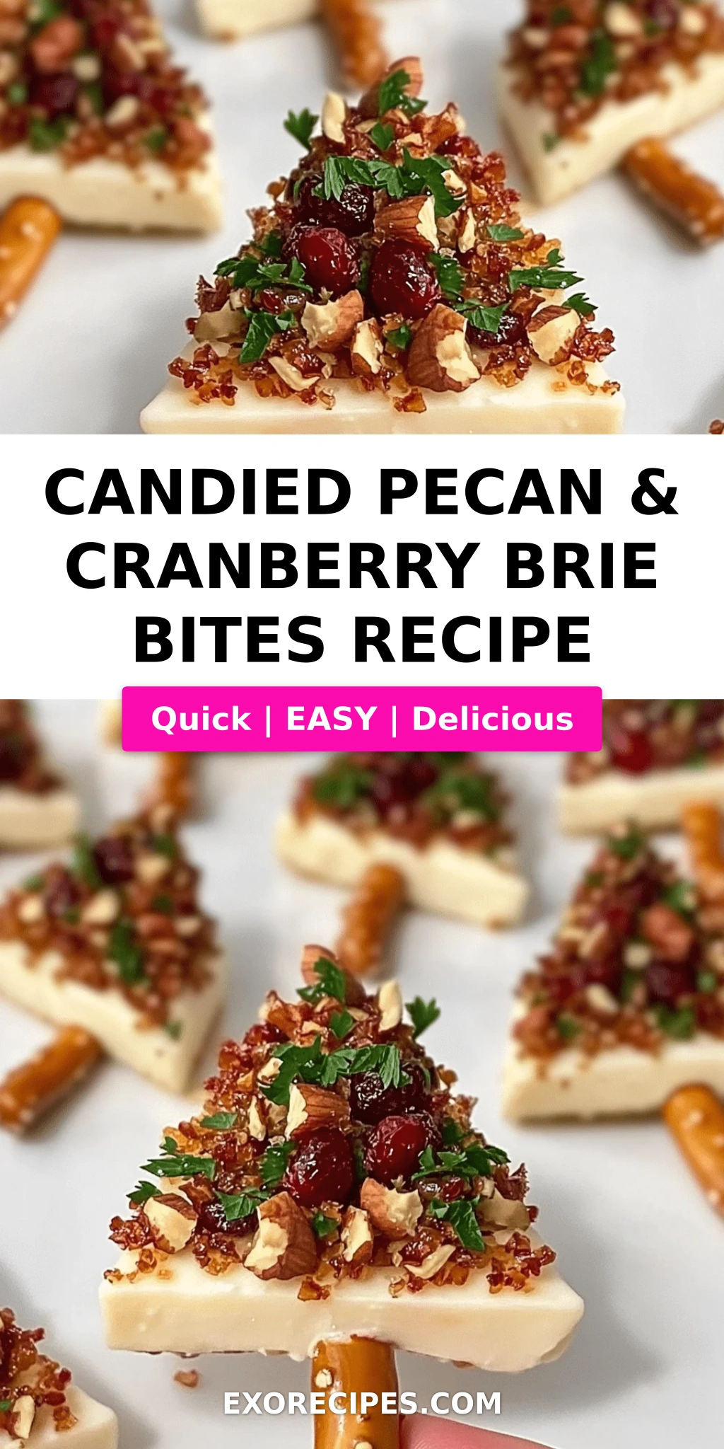 Candied Pecan & Cranberry Brie Bites
