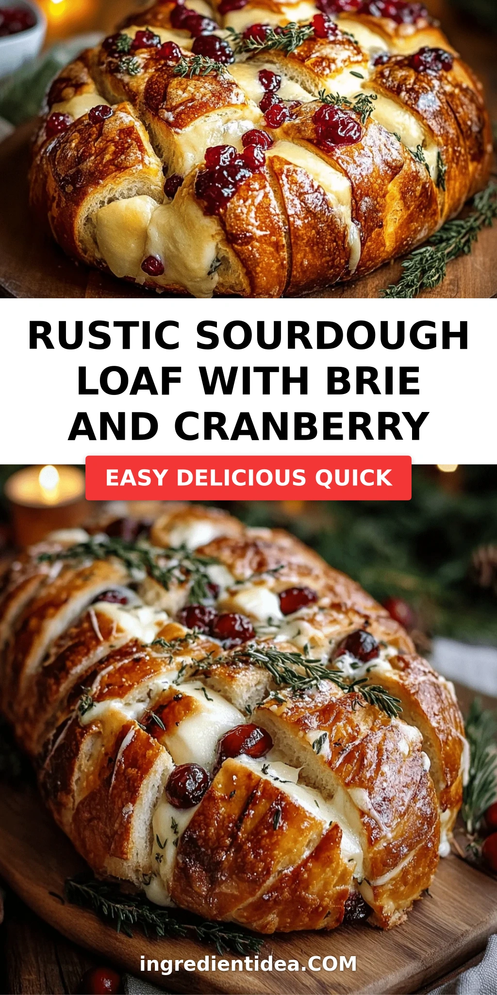 Rustic Sourdough Loaf with Brie and Cranberry