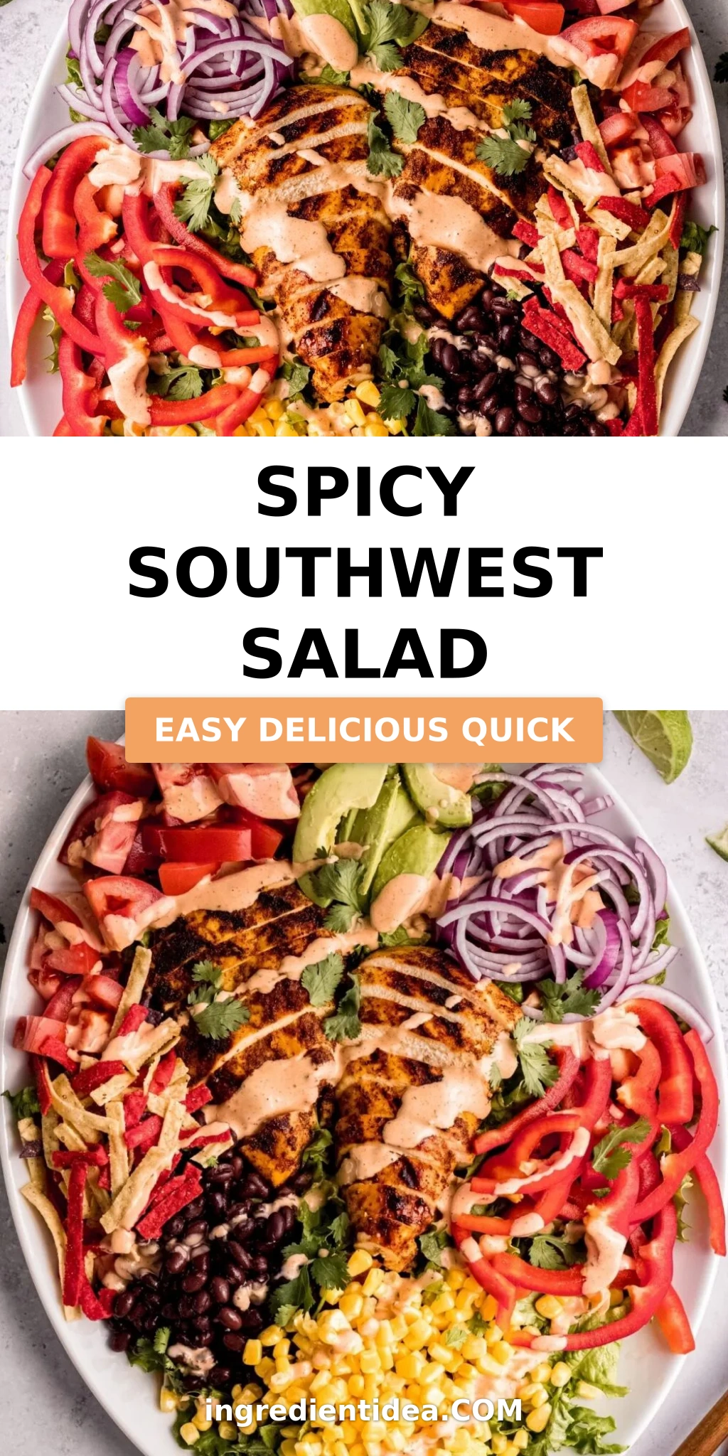 Spicy Southwest Salad
