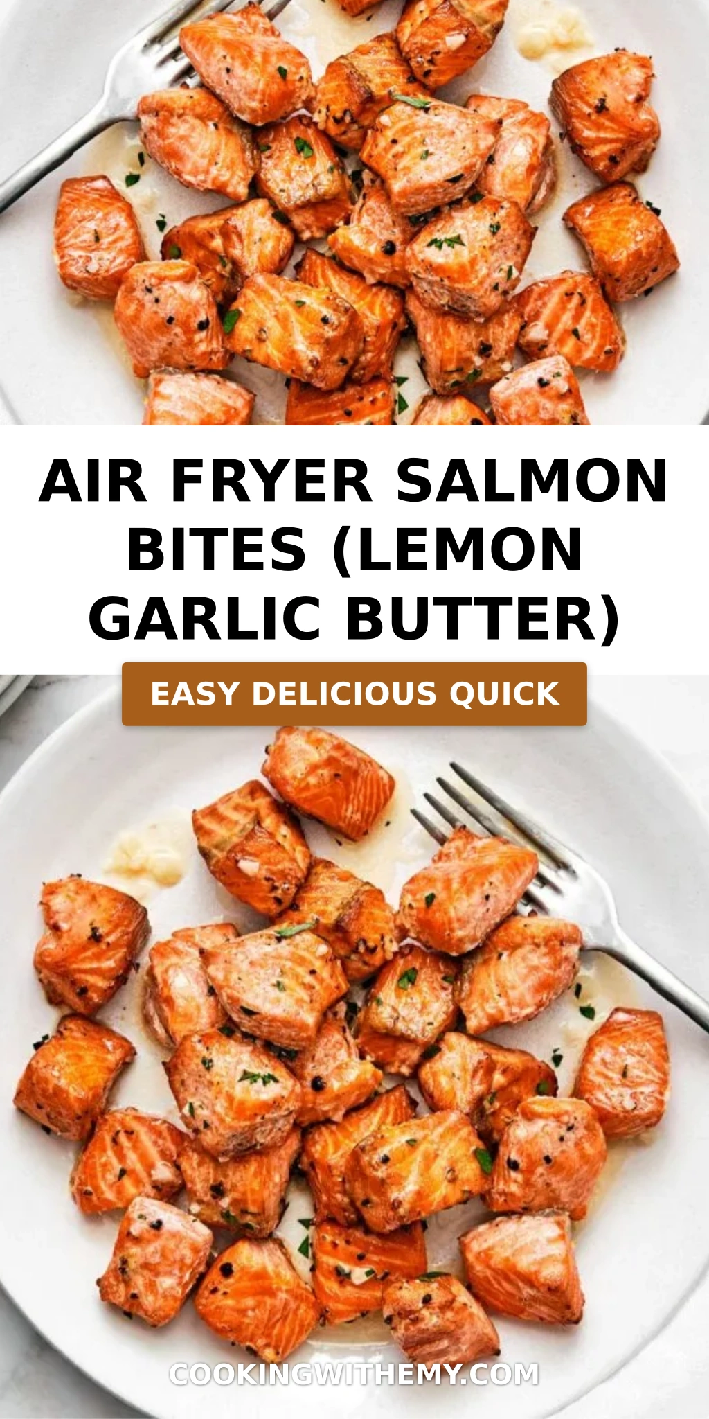 Air Fryer Salmon Bites (Lemon Garlic Butter)