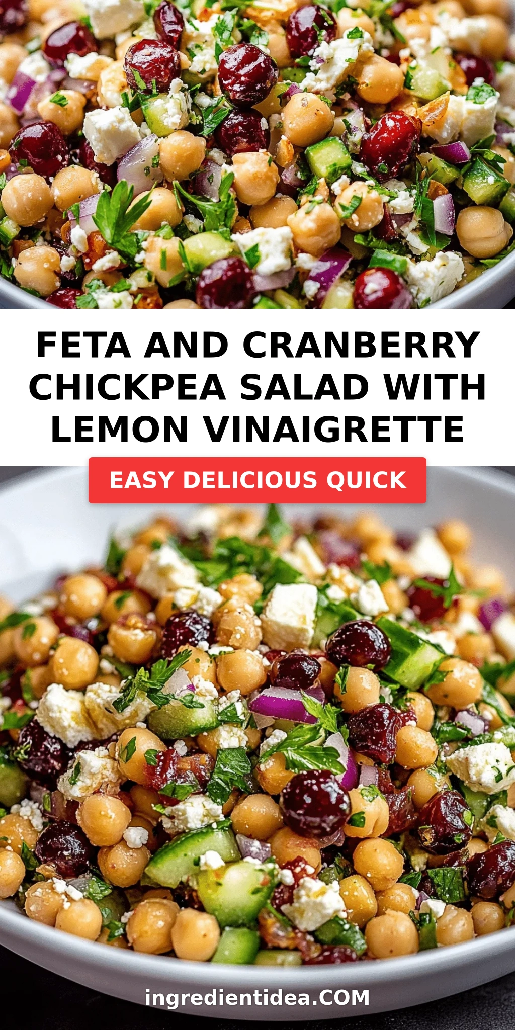 Feta and Cranberry Chickpea Salad with Lemon Vinaigrette