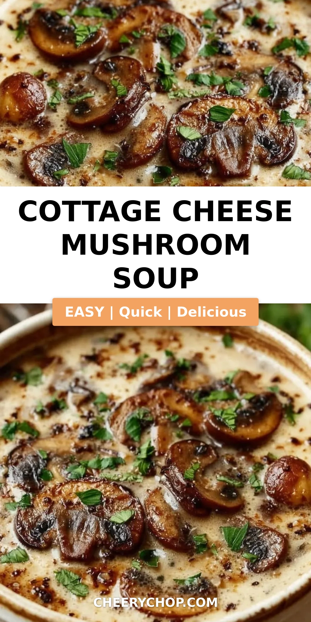 Cottage Cheese Mushroom Soup