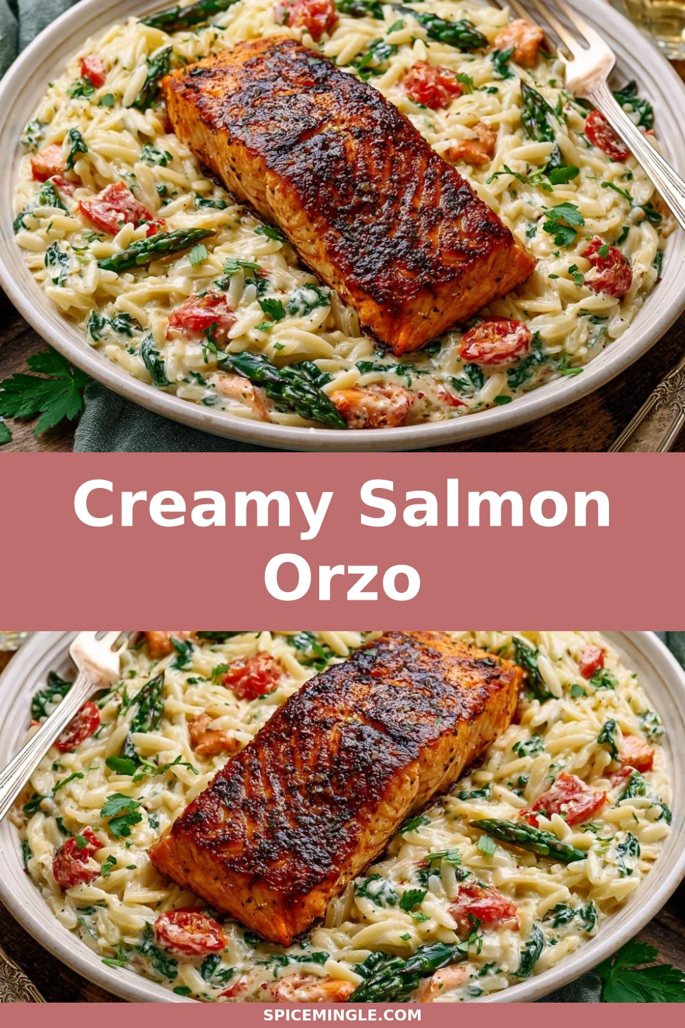 Creamy Salmon Orzo