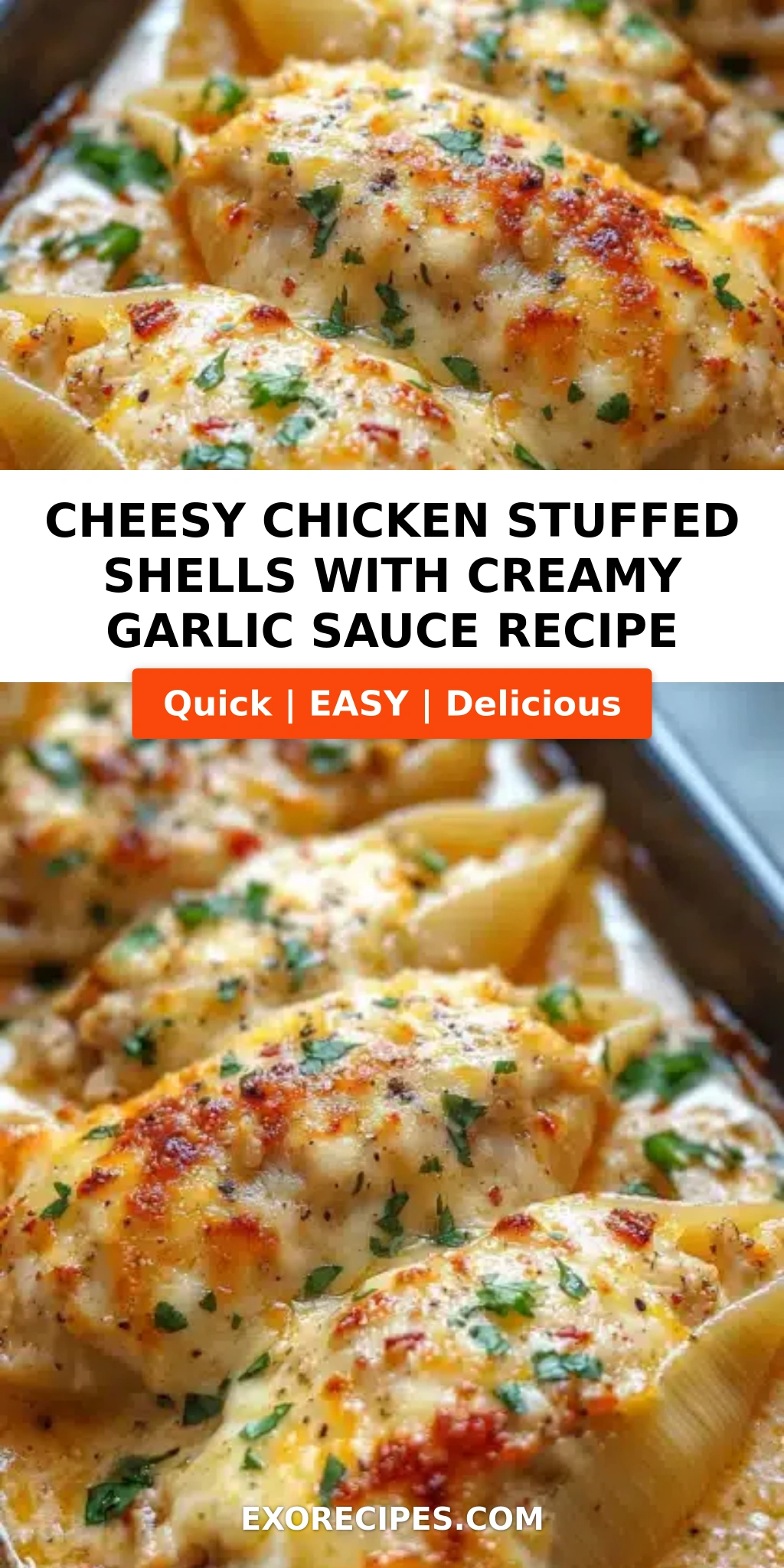Cheesy Chicken Stuffed Shells with Creamy Garlic Sauce Your Ultimate Comfort Food Recipe