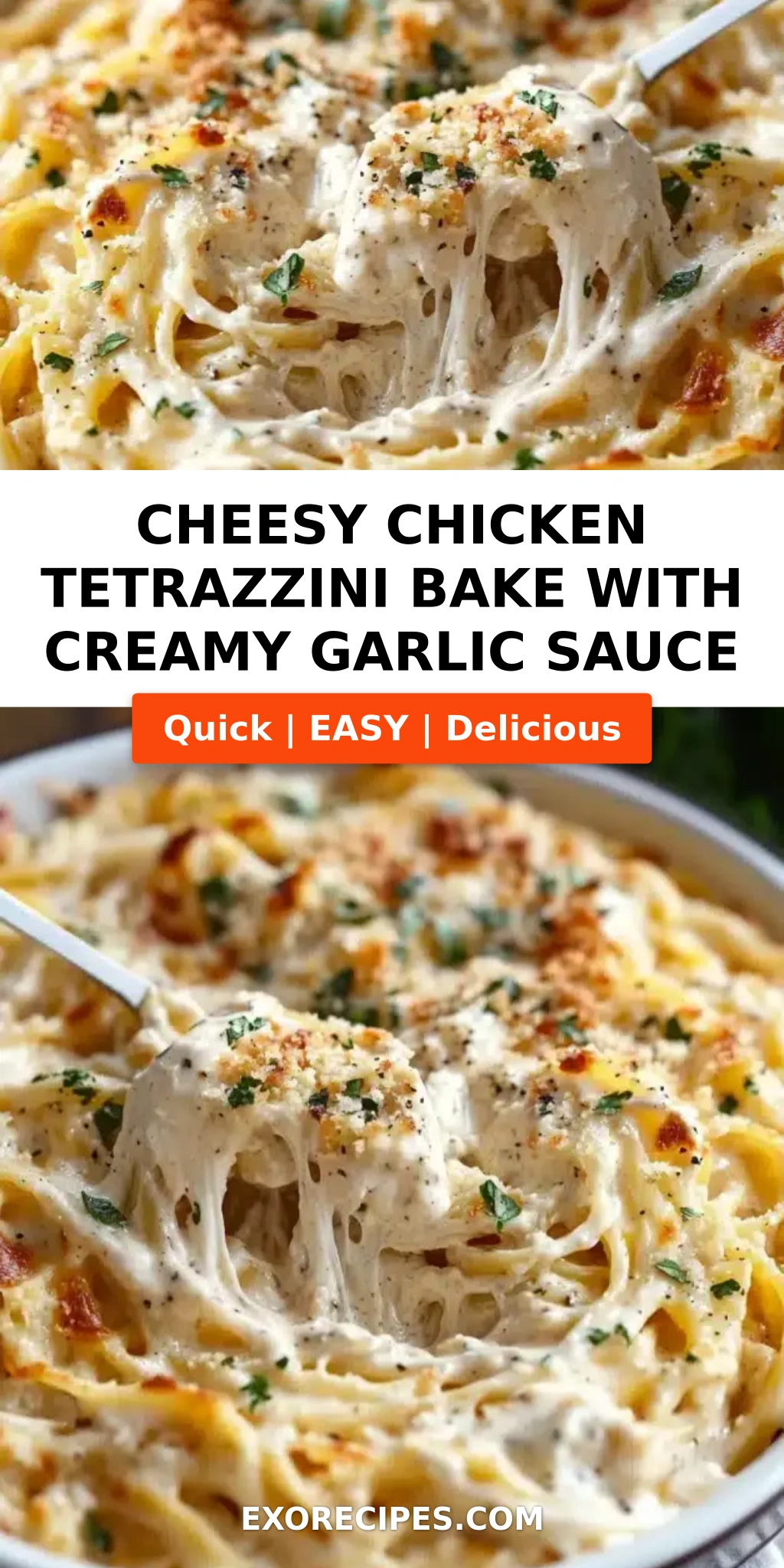 Cheesy Chicken Tetrazzini Bake with Creamy Garlic Sauce