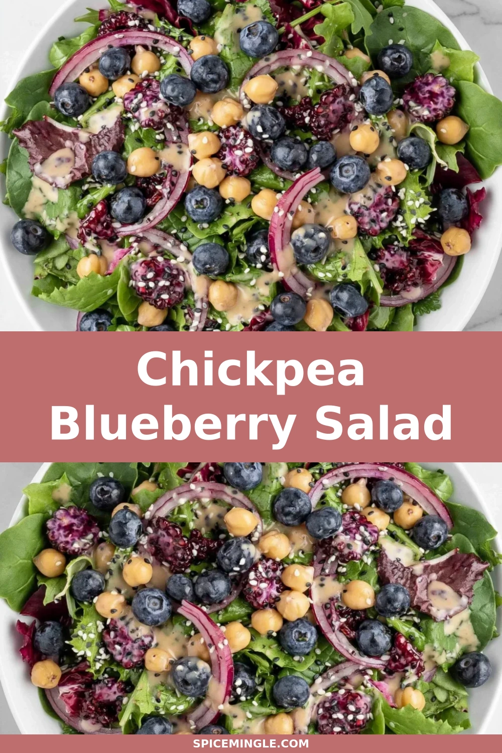 Chickpea Blueberry Salad