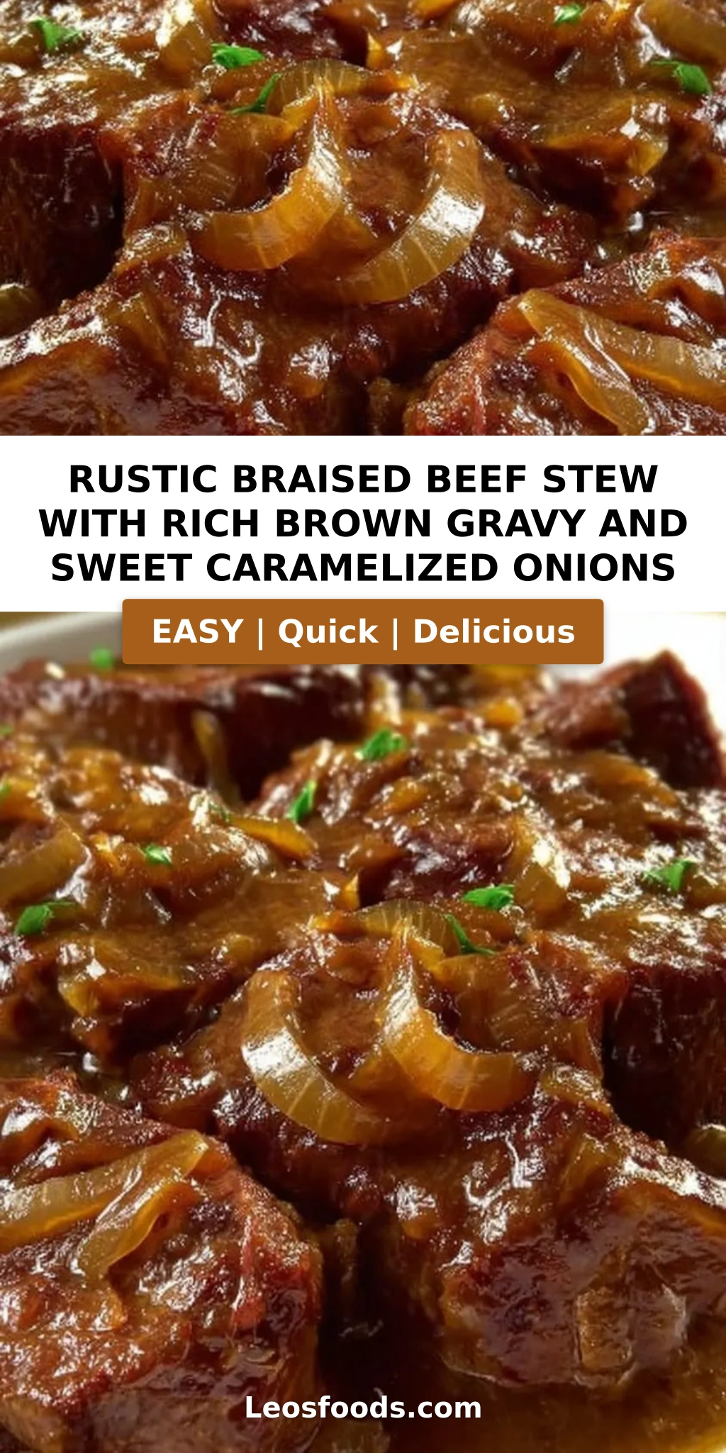 Rustic Braised Beef Stew with Rich Brown Gravy and Sweet Caramelized Onions