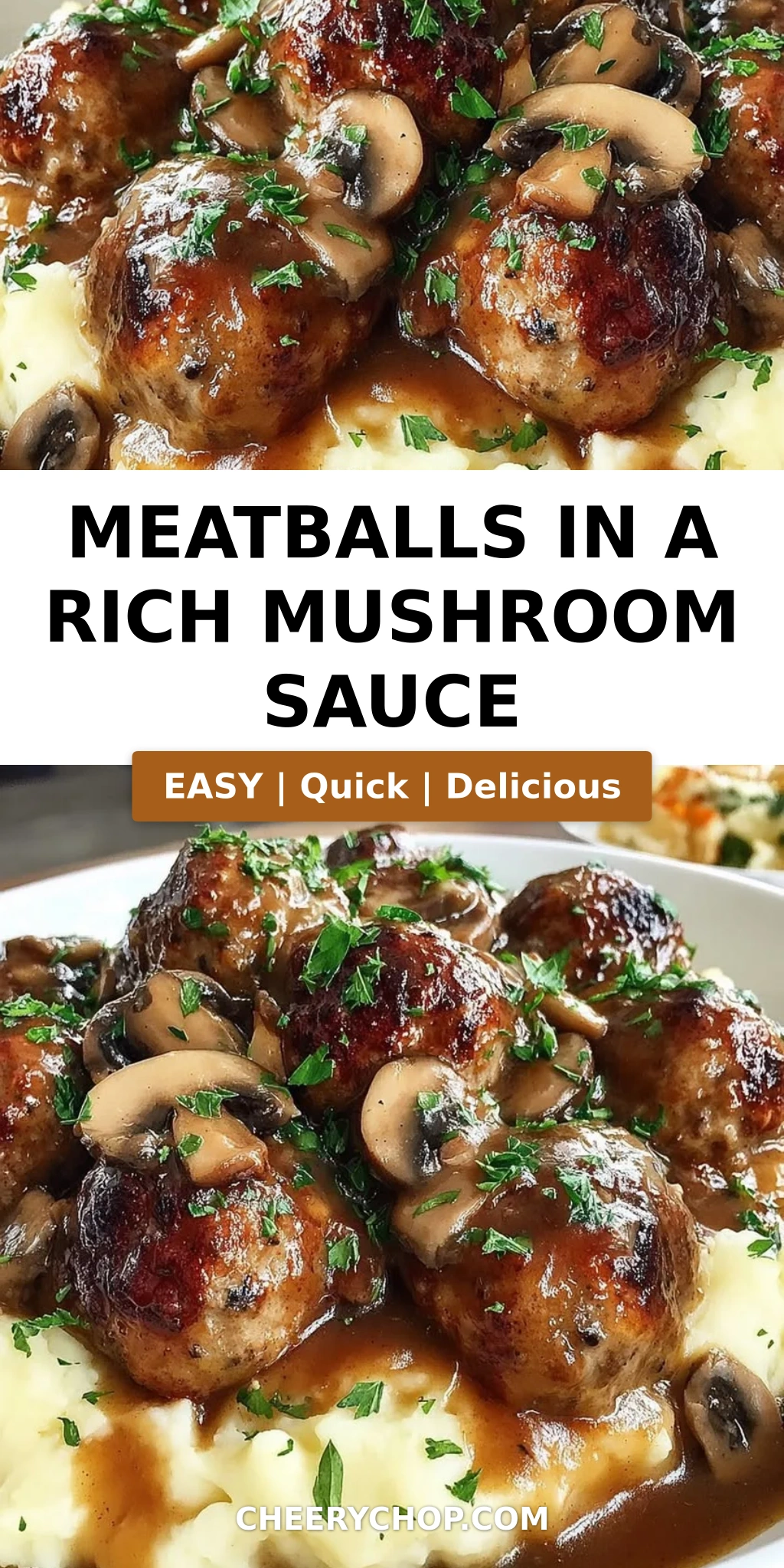 Meatballs in a Rich Mushroom Sauce