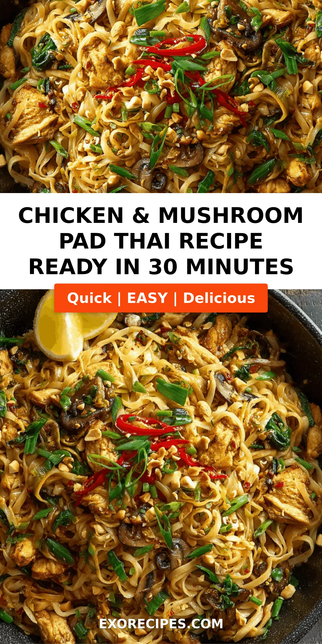 Chicken & Mushroom Pad Thai with Peanuts and Lemon