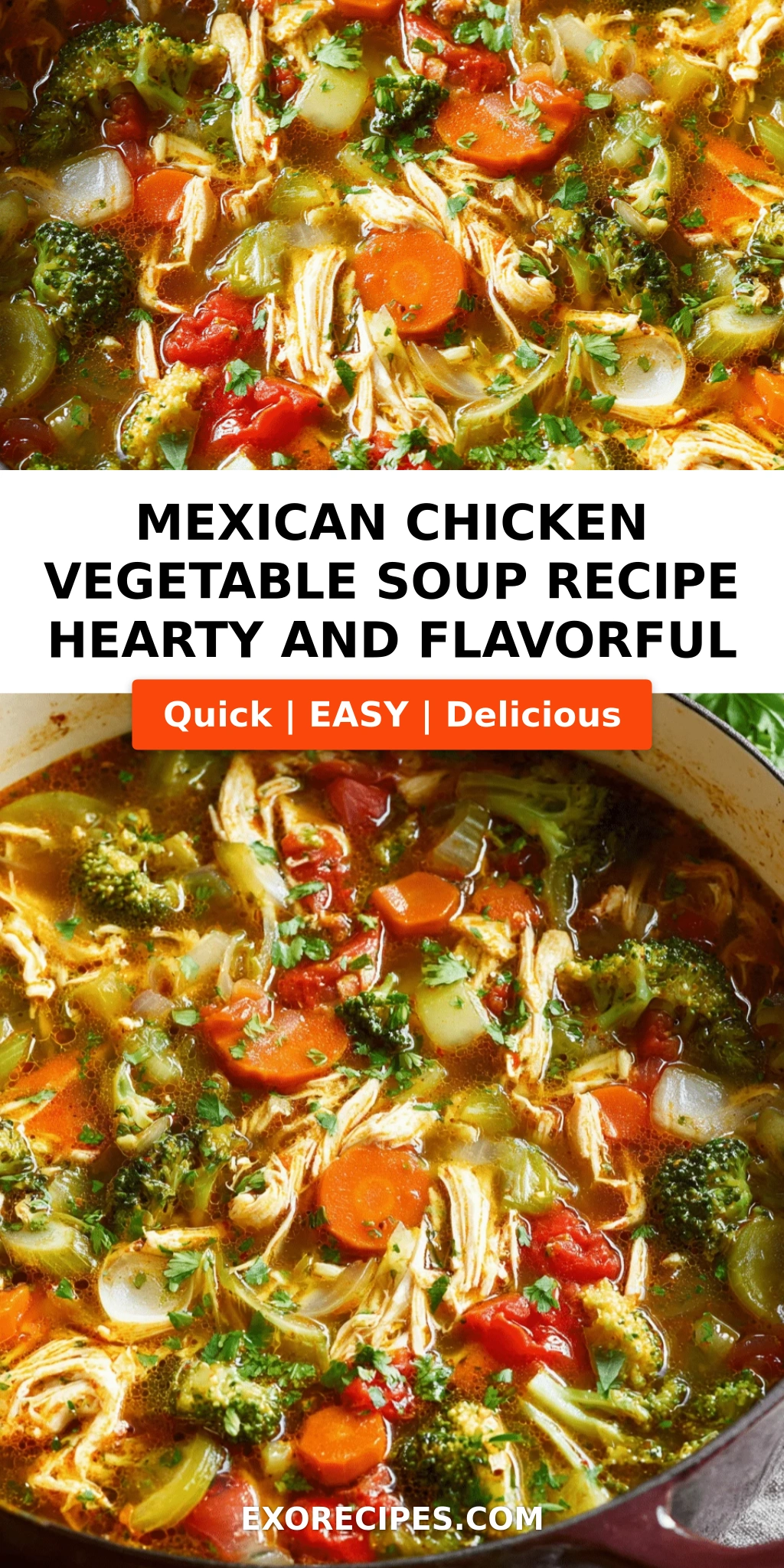 Chicken & Vegetable Mexican-Style Soup with Cilantro: A Comforting, Flavor-Packed Dinner