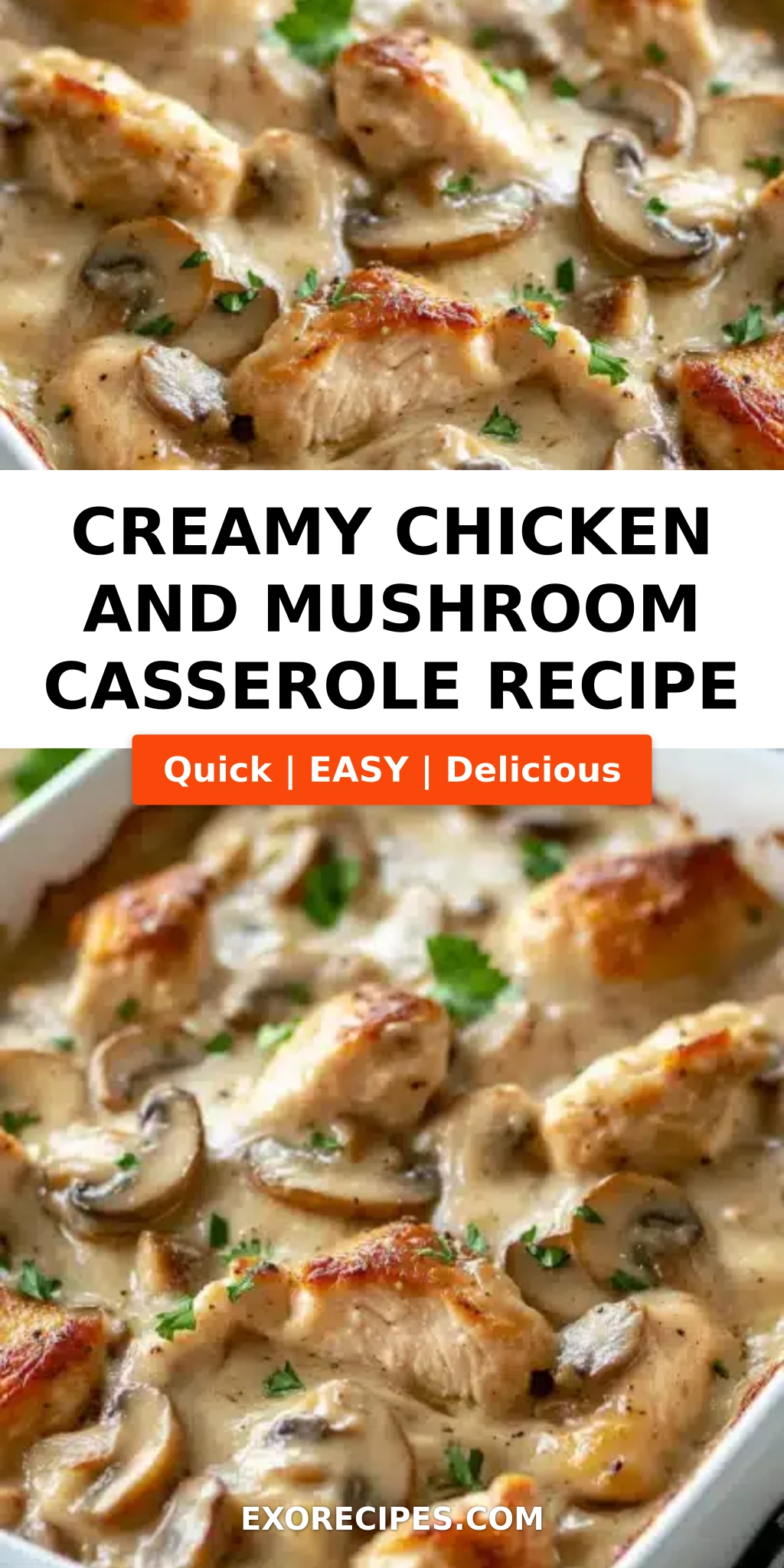 Chicken and Mushroom Casserole A Comforting Dinner Recipe