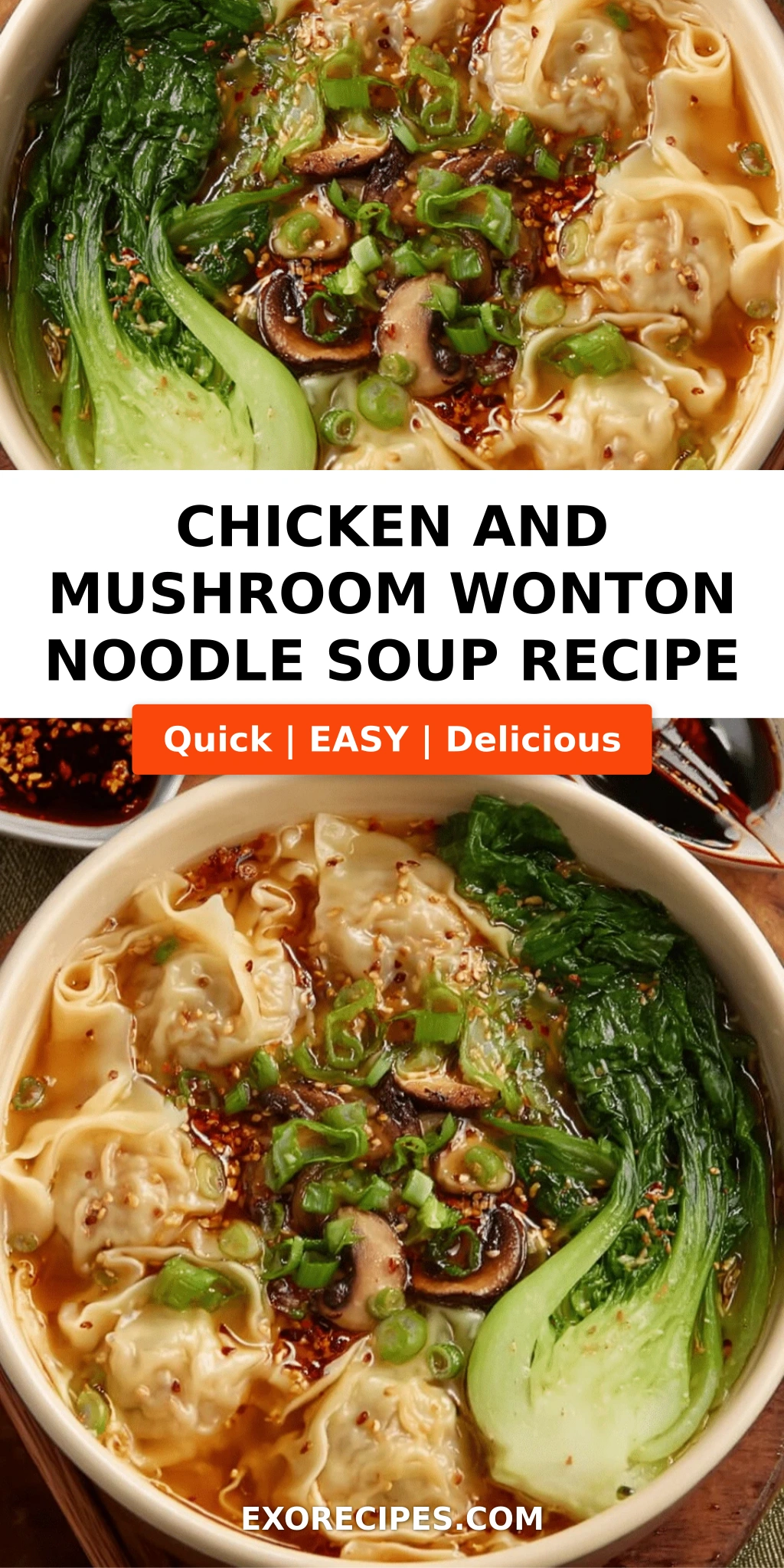Chicken and Mushroom Wonton Noodle Soup