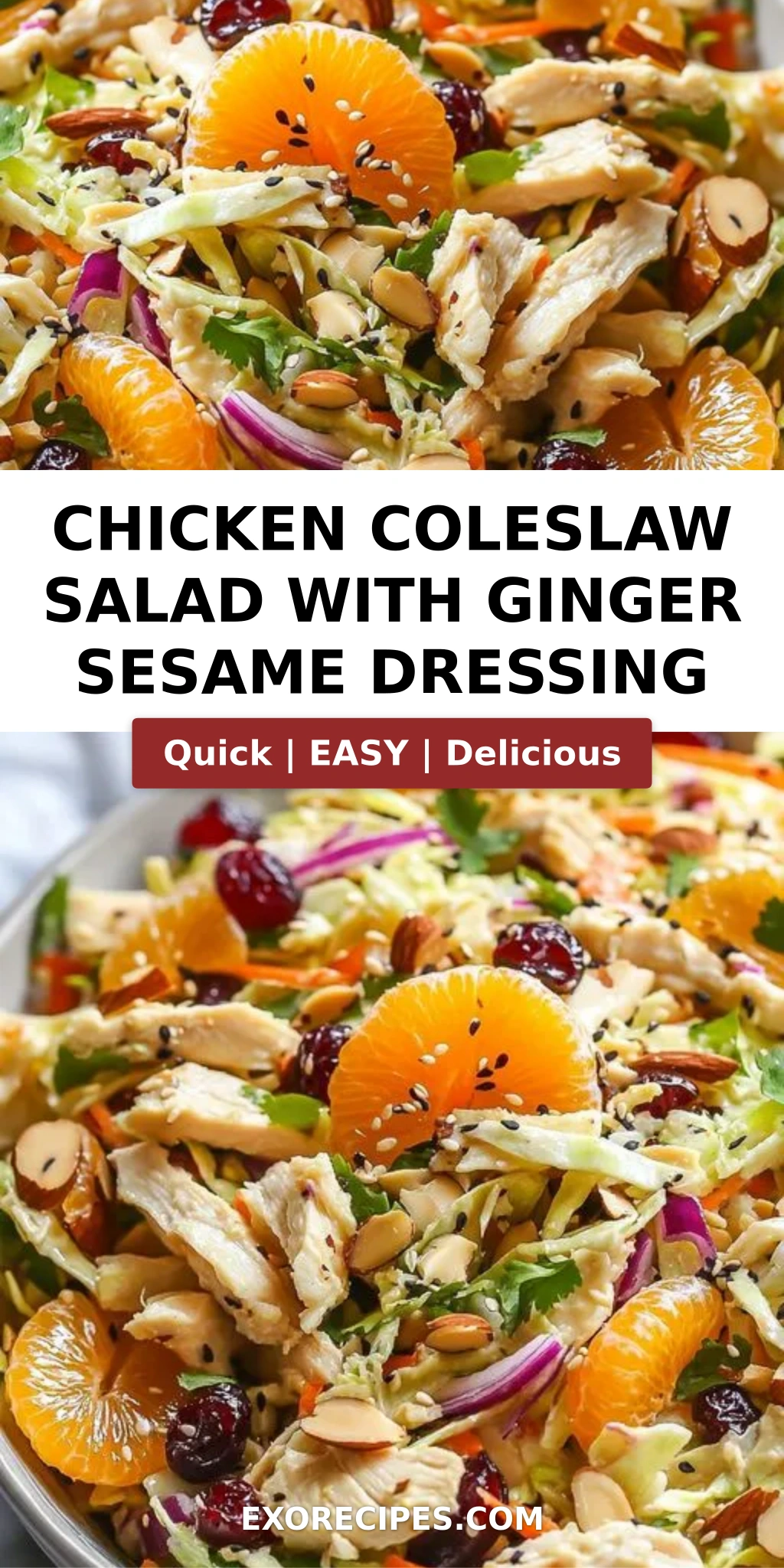 Chicken Coleslaw Salad with Ginger Sesame Dressing