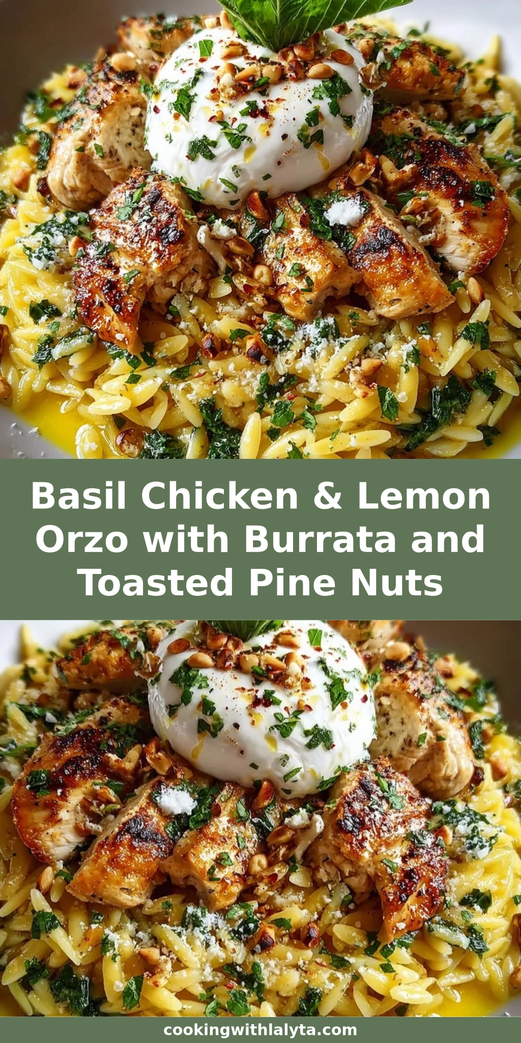 Basil Chicken & Lemon Orzo with Burrata and Toasted Pine Nuts