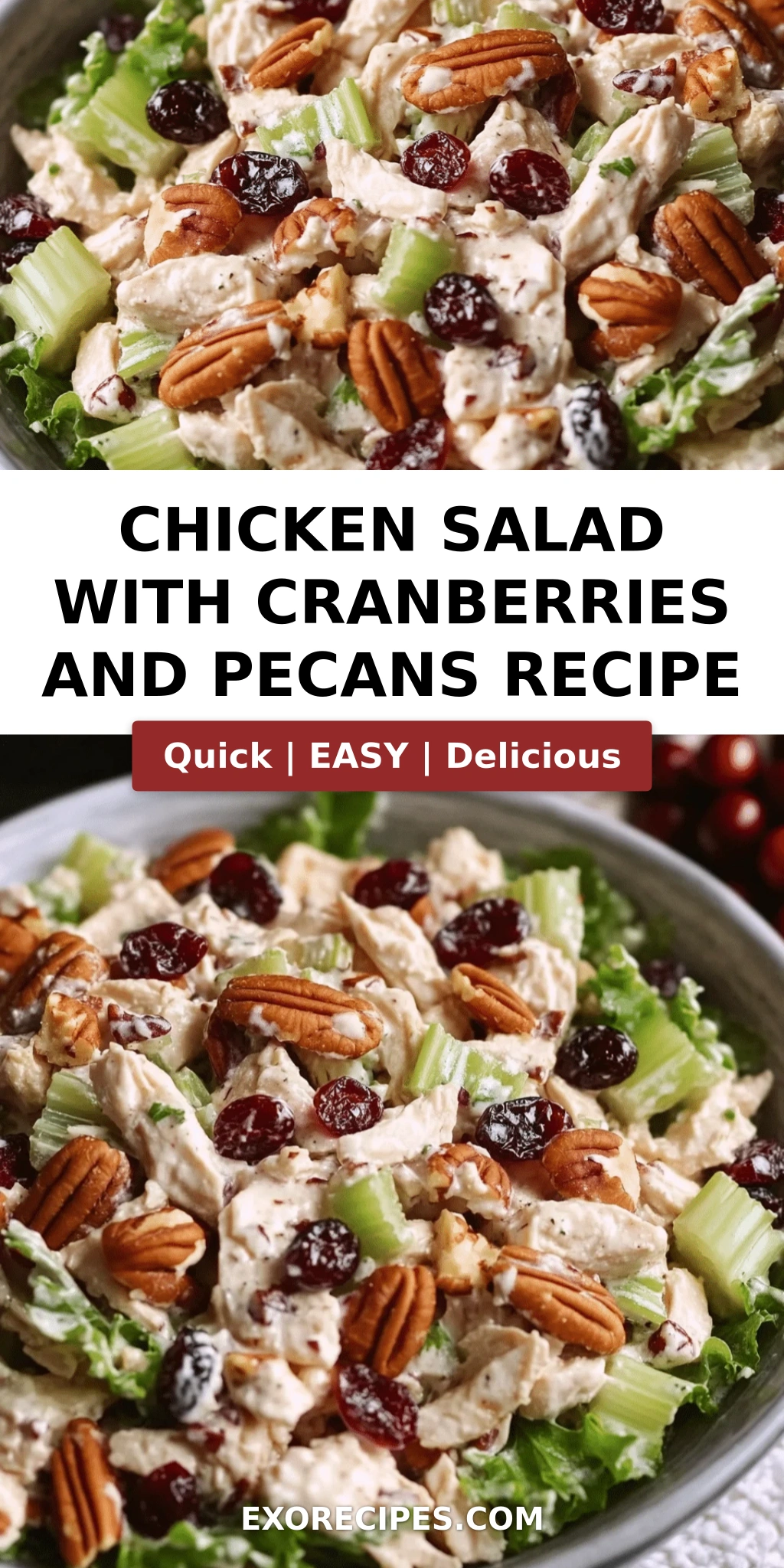 Chicken Salad with Cranberries, Pecans, and Celery: A Refreshing Twist on a Classic Favorite