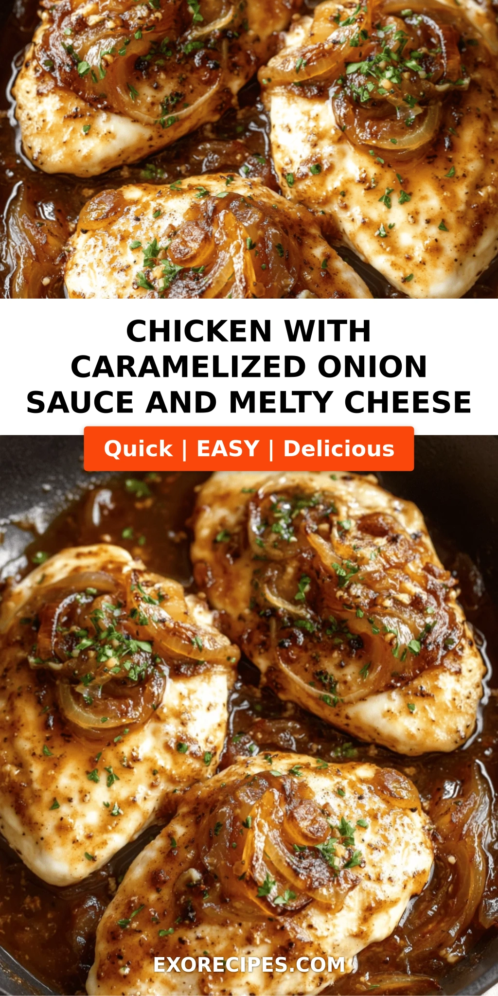 Chicken with Caramelized Onion Sauce and Melty Cheese