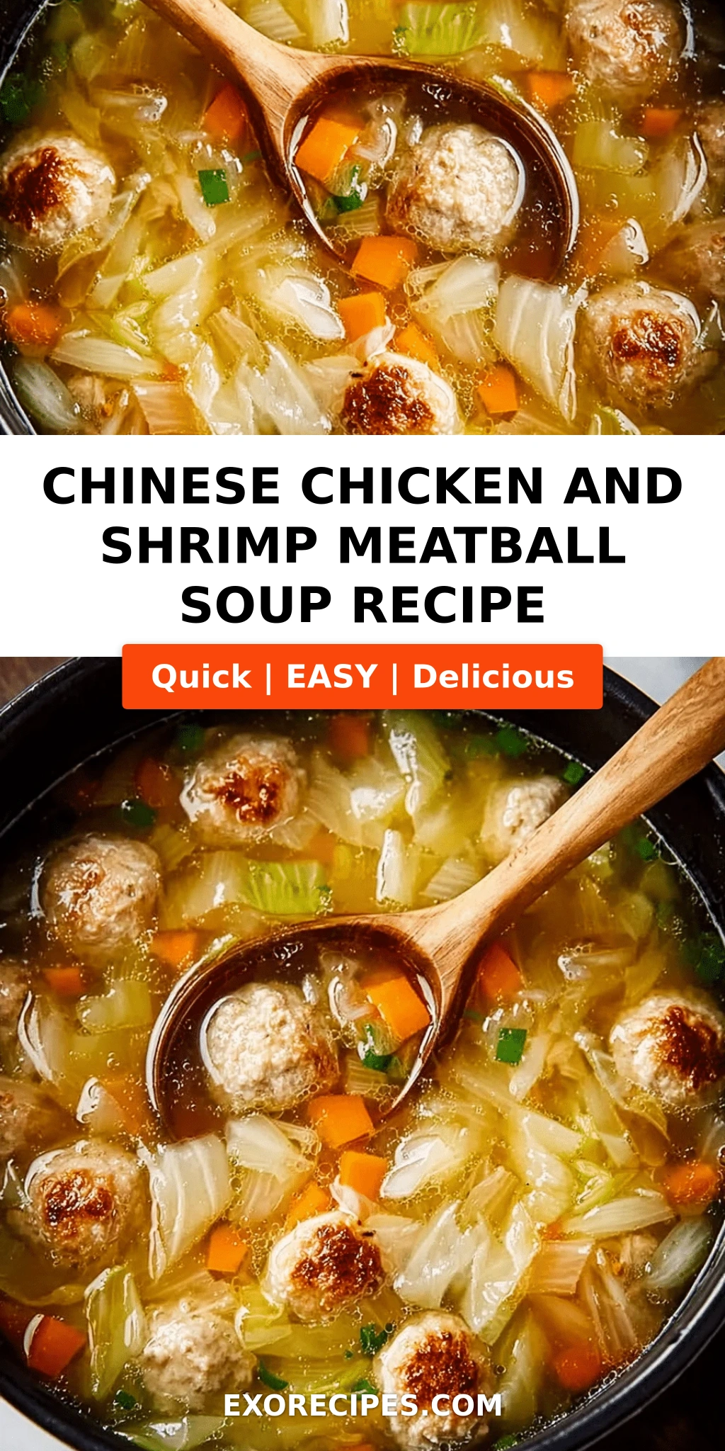 Chinese Chicken and Shrimp Meatball Soup