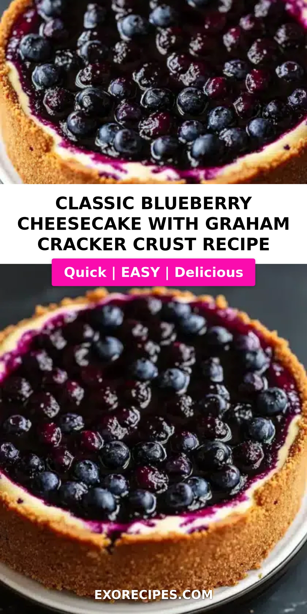 Classic Blueberry Cheesecake with a Graham Cracker Crust