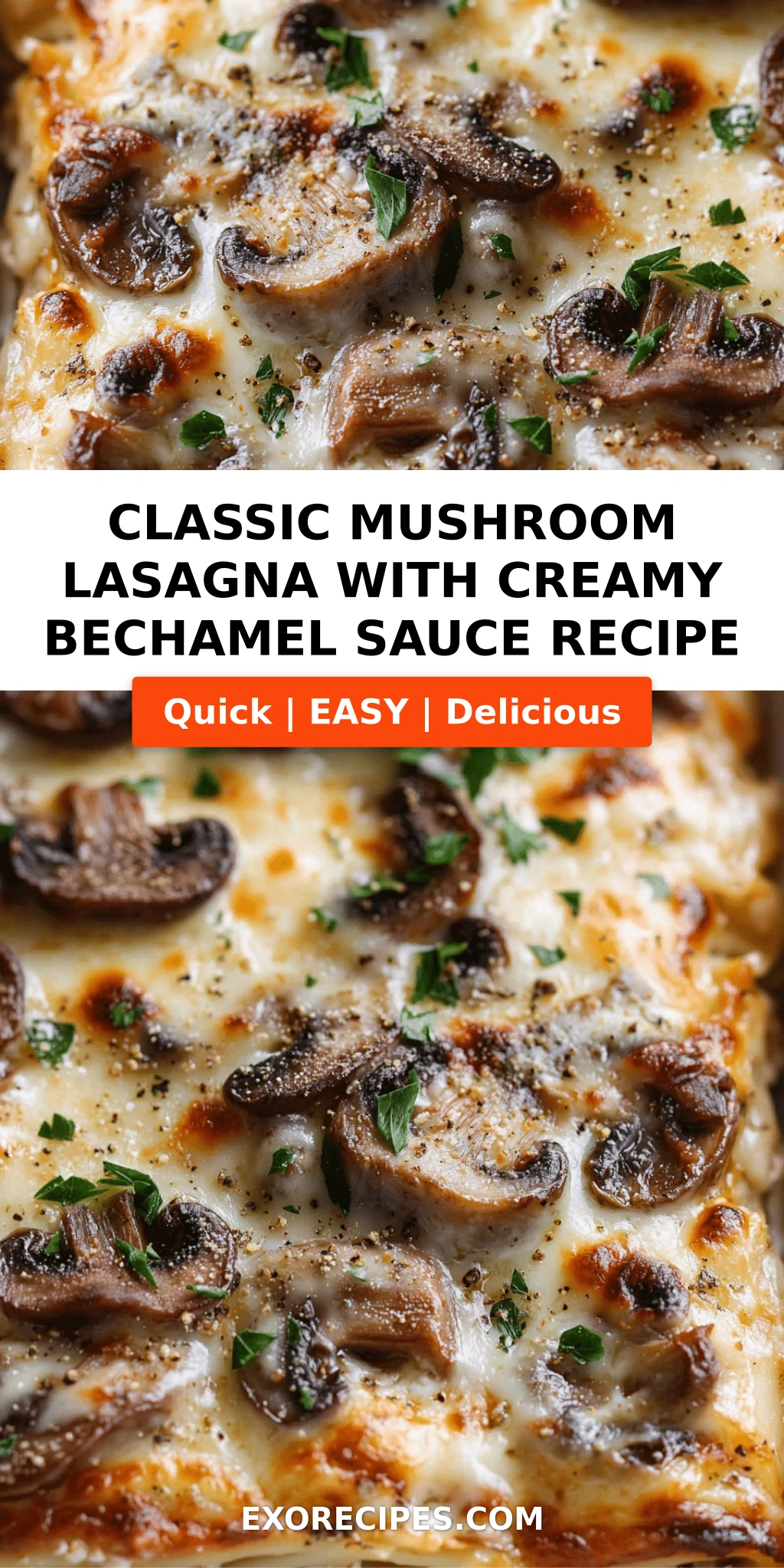 Classic Mushroom Lasagna with Creamy Bechamel Sauce A Comforting Vegetarian Delight