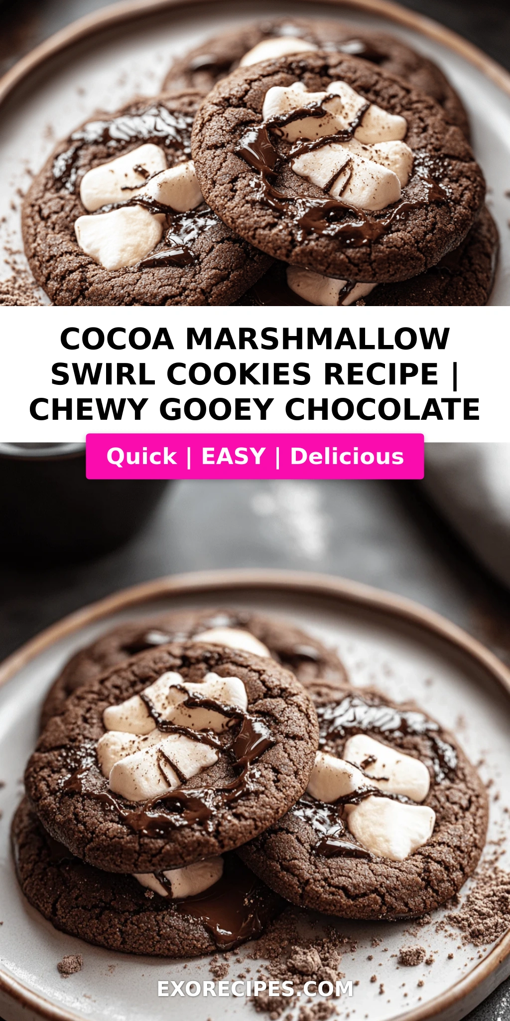 Cocoa Marshmallow Swirl Cookies