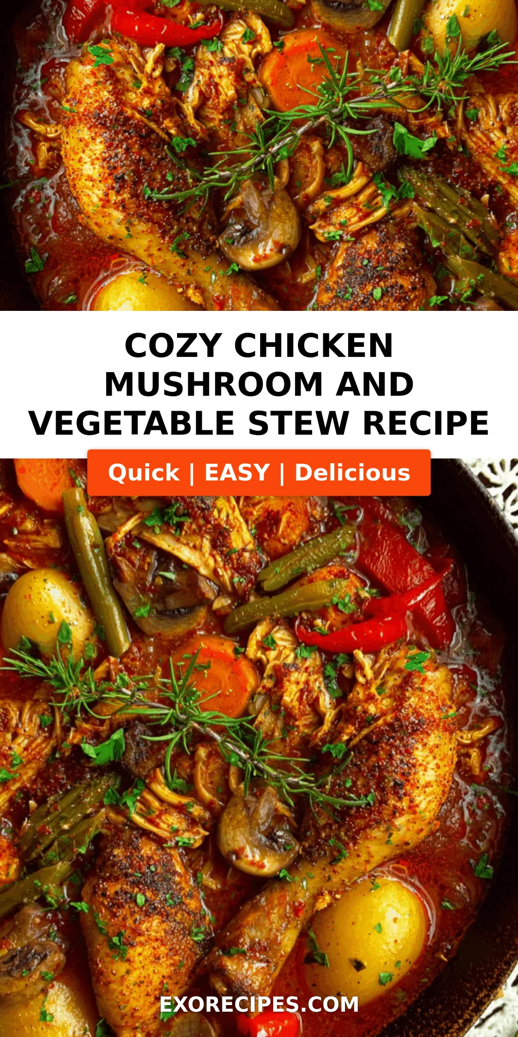 Cozy Chicken, Mushroom & Vegetable Stew