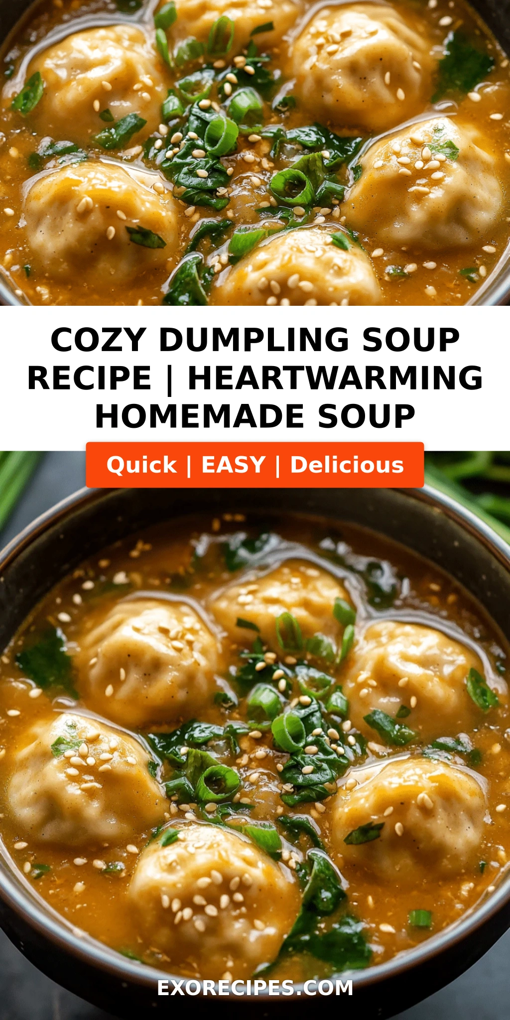 Cozy Dumpling Soup: A Heartwarming Meal for Every Season