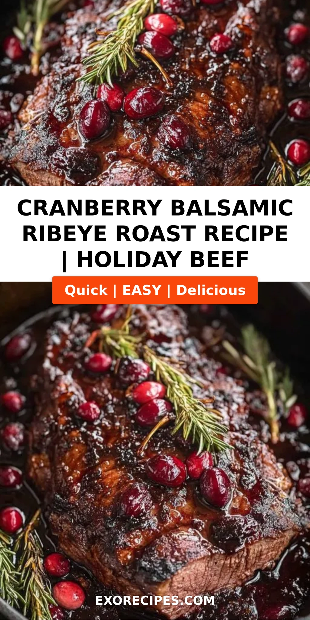 Cranberry Balsamic Ribeye Roast