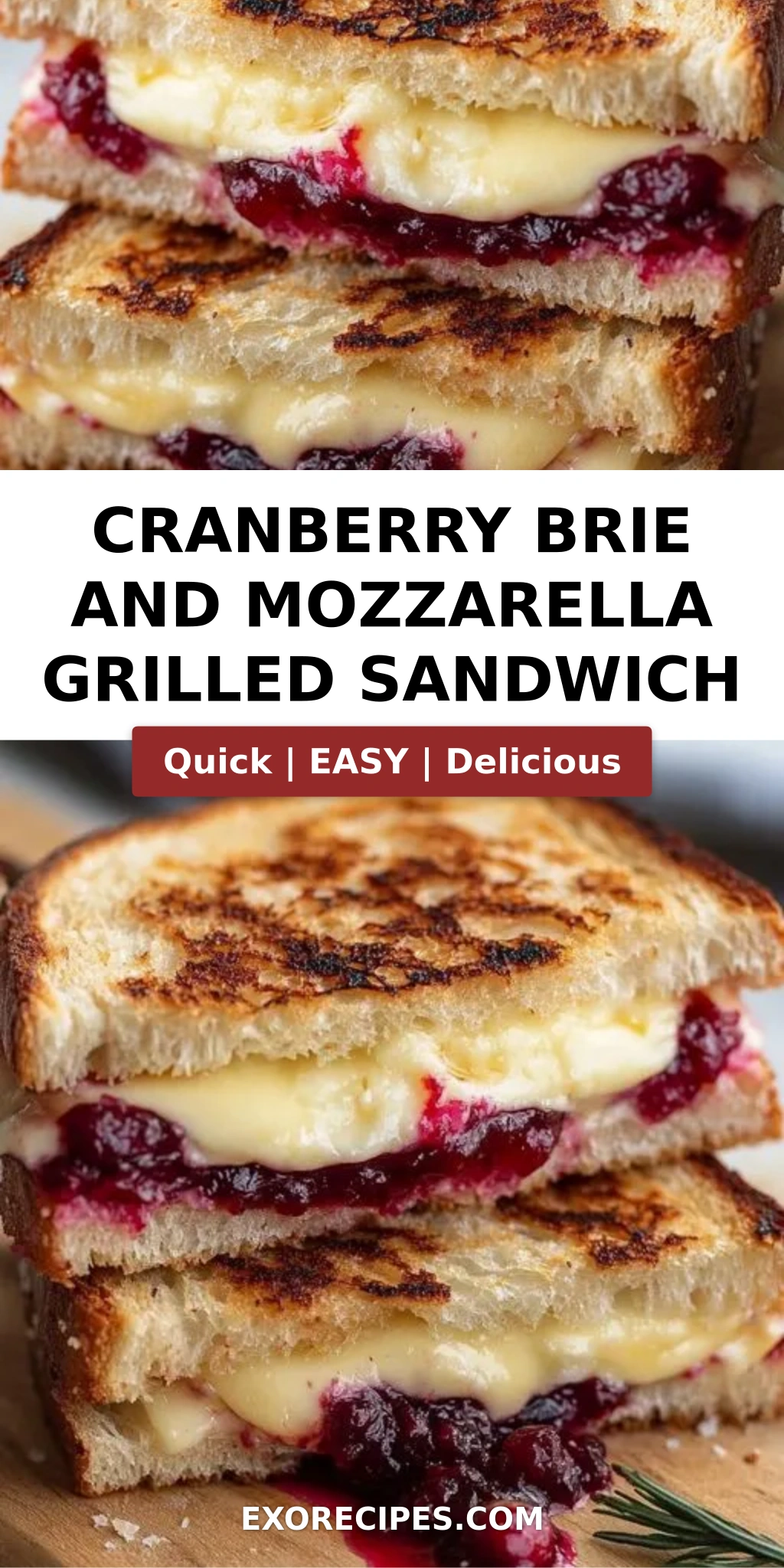 Cranberry Brie and Mozzarella Grilled Sandwich