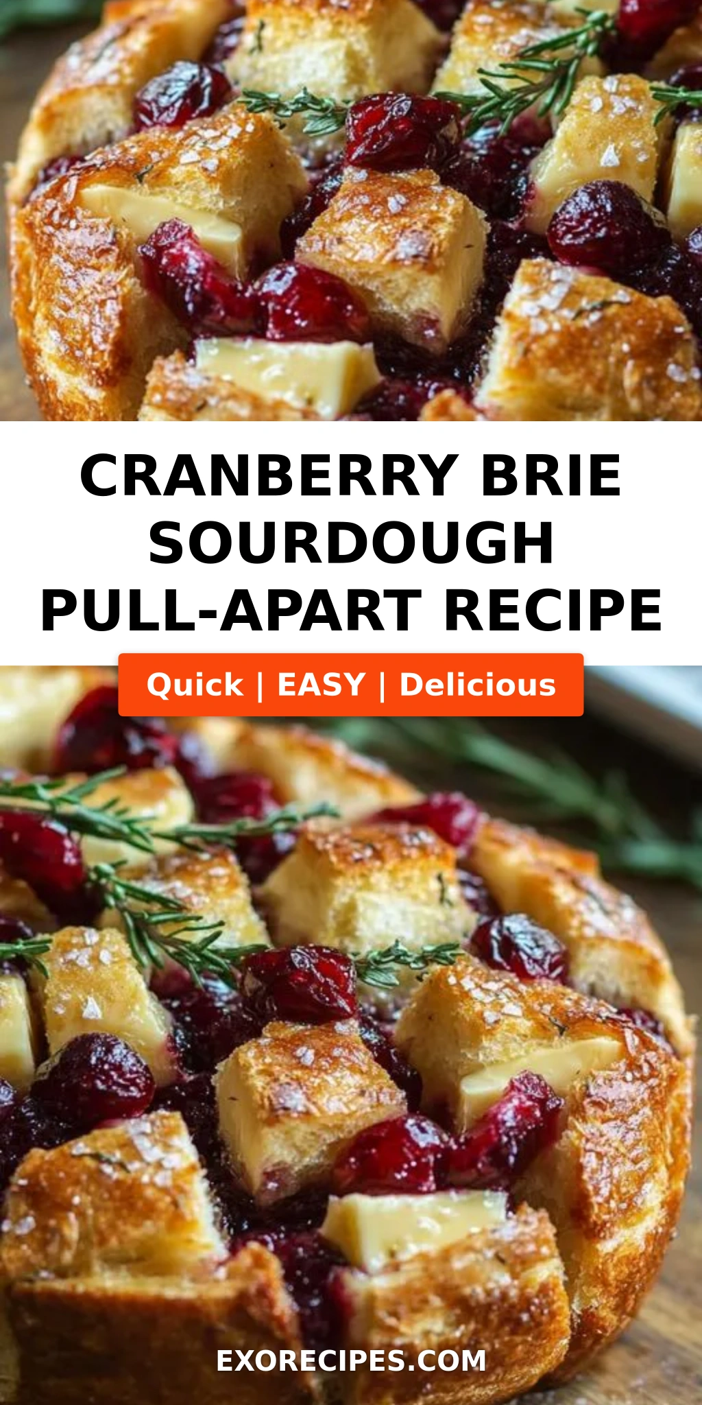 Cranberry Brie Sourdough Pull-Apart