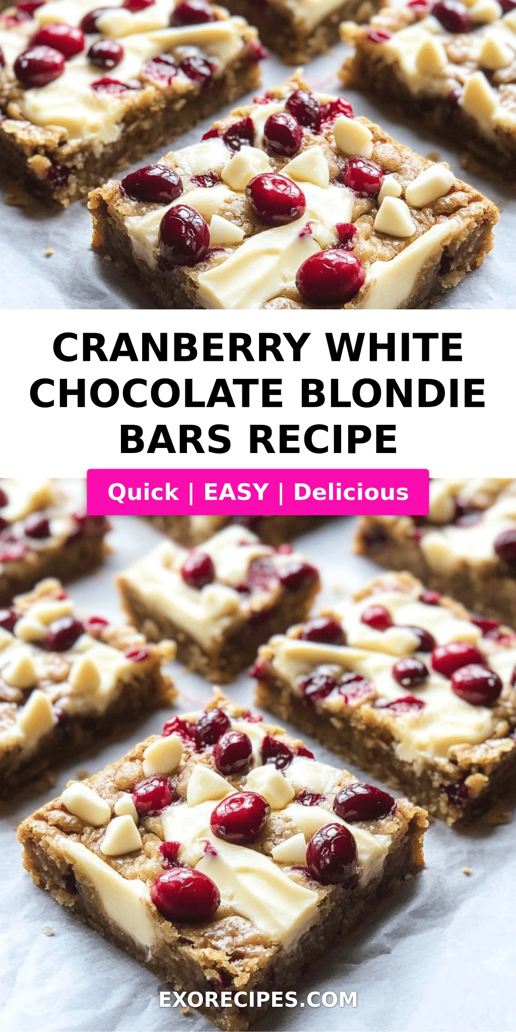 Cranberry White Chocolate Blondie Bars: A Decadent Treat for Every Occasion