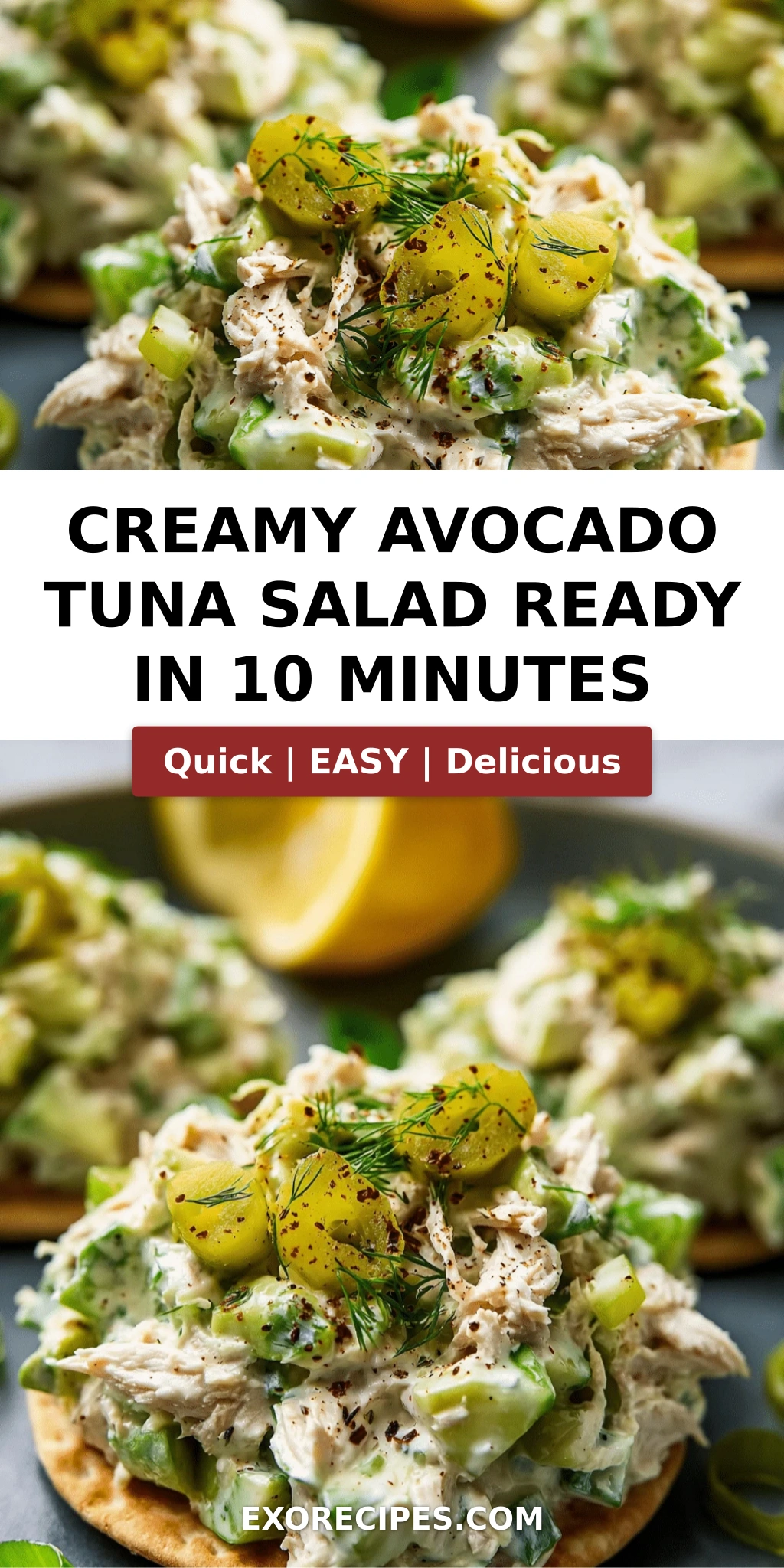 Creamy Avocado Herb Tuna Salad That Feels Fresh and Satisfying