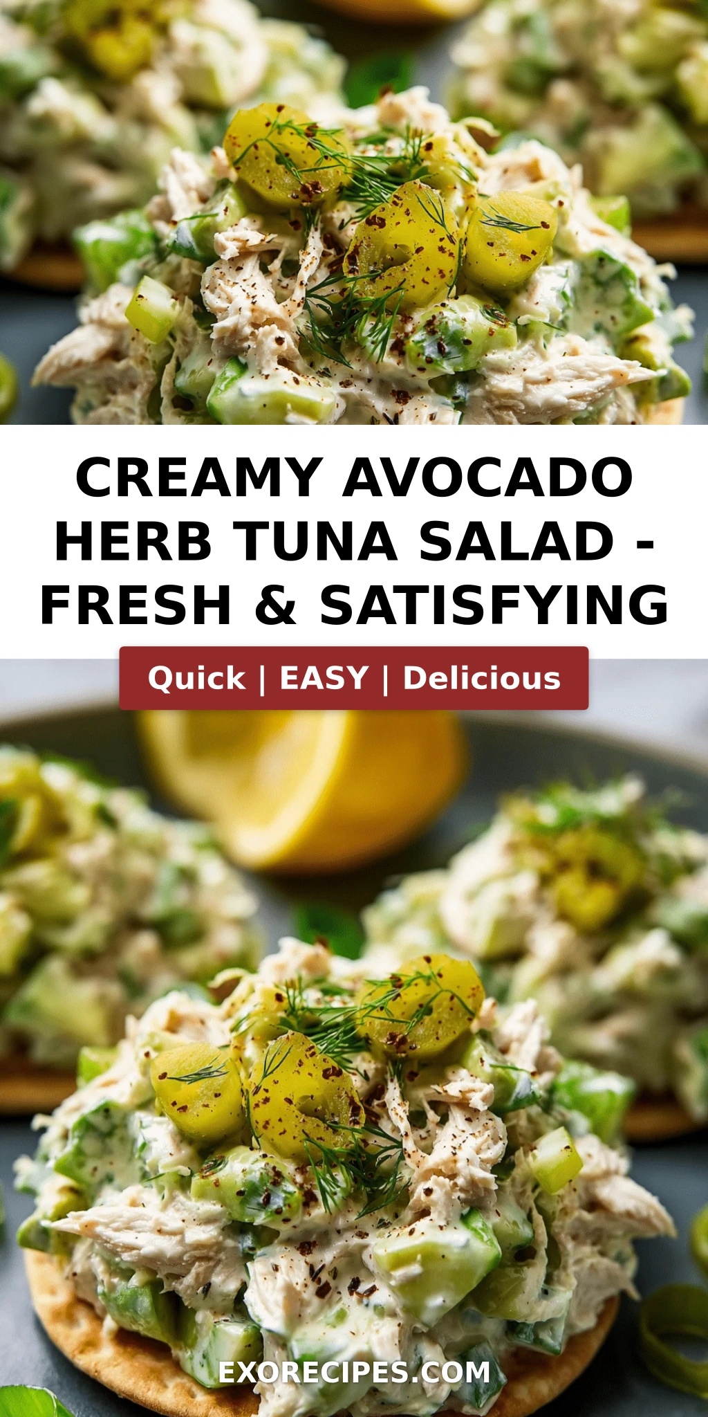 Creamy Avocado Herb Tuna Salad That Feels Fresh and Satisfying