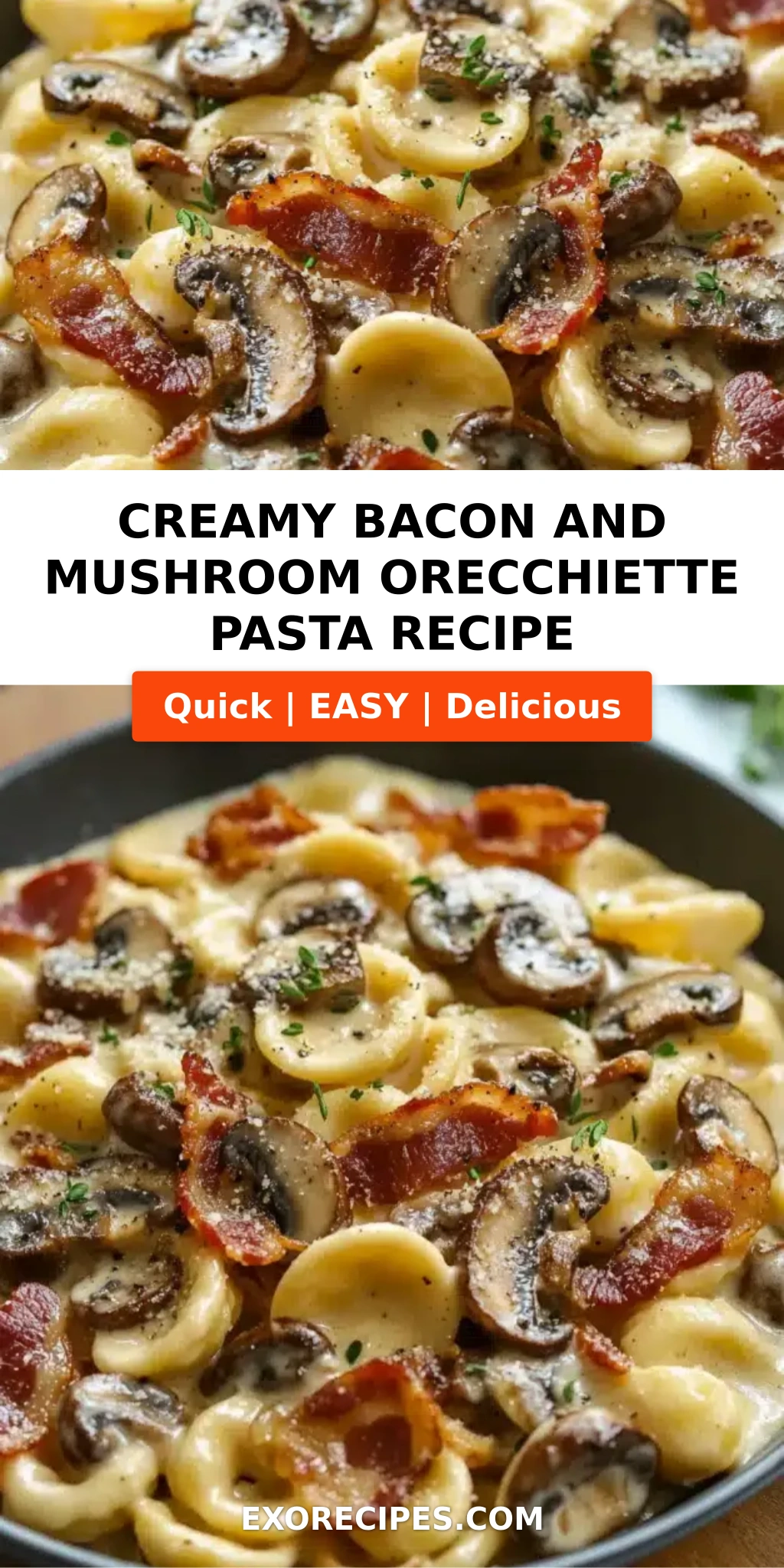 Creamy Bacon and Mushroom Orecchiette Pasta