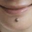 mole