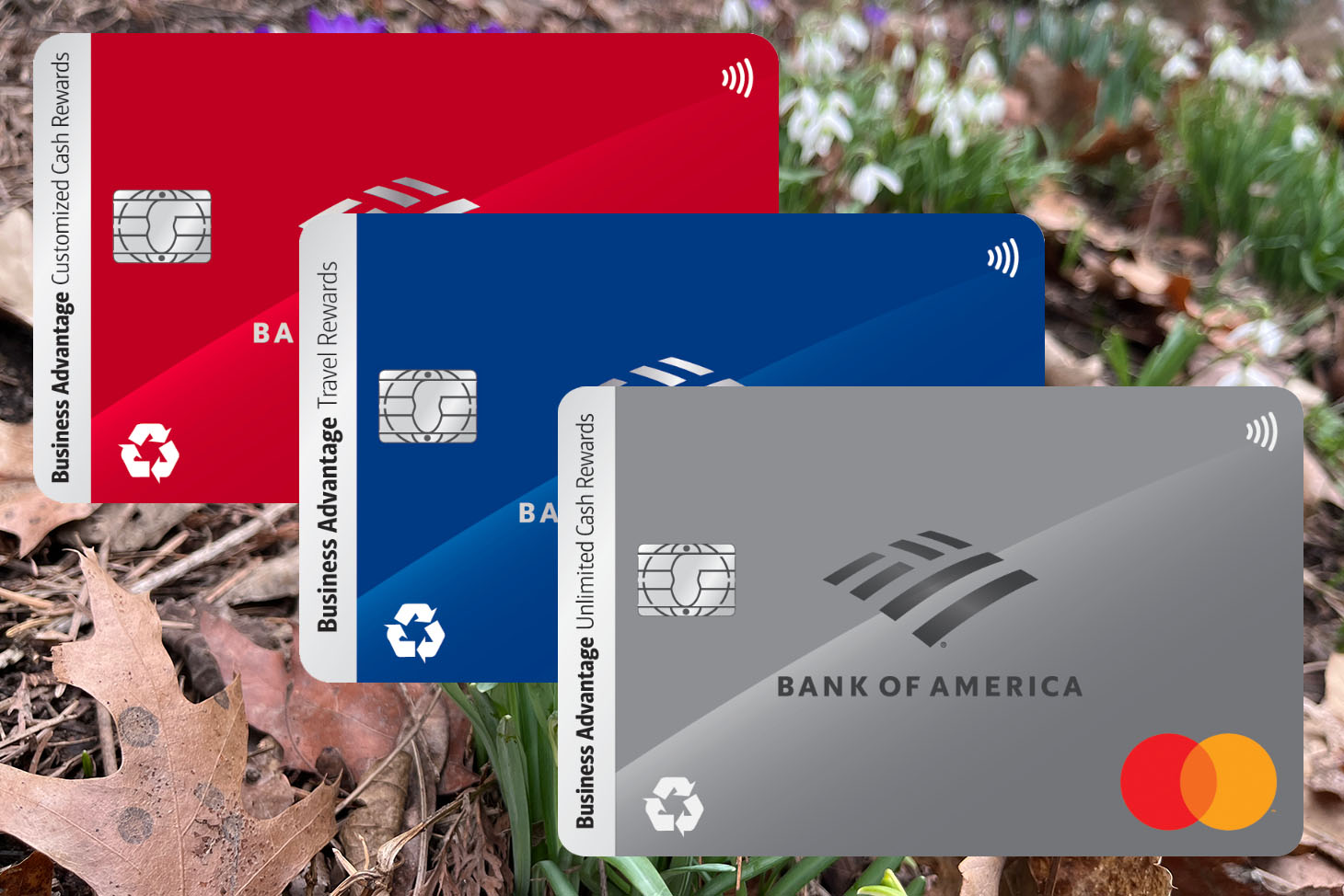 Bank of America Business Cards Now Offer $500 Welcome Bonus