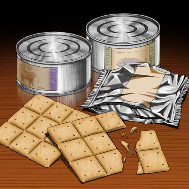 Emergency Provisions card artwork