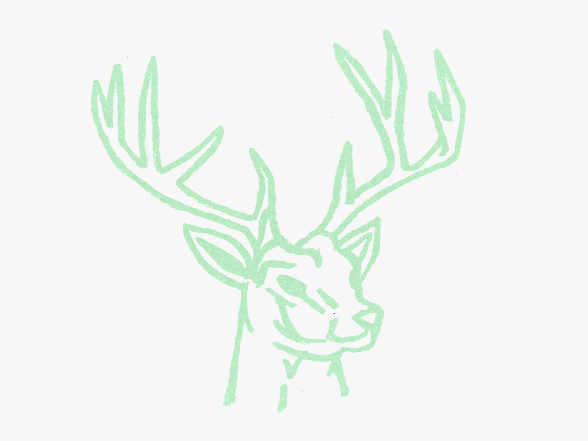 illustration of stag