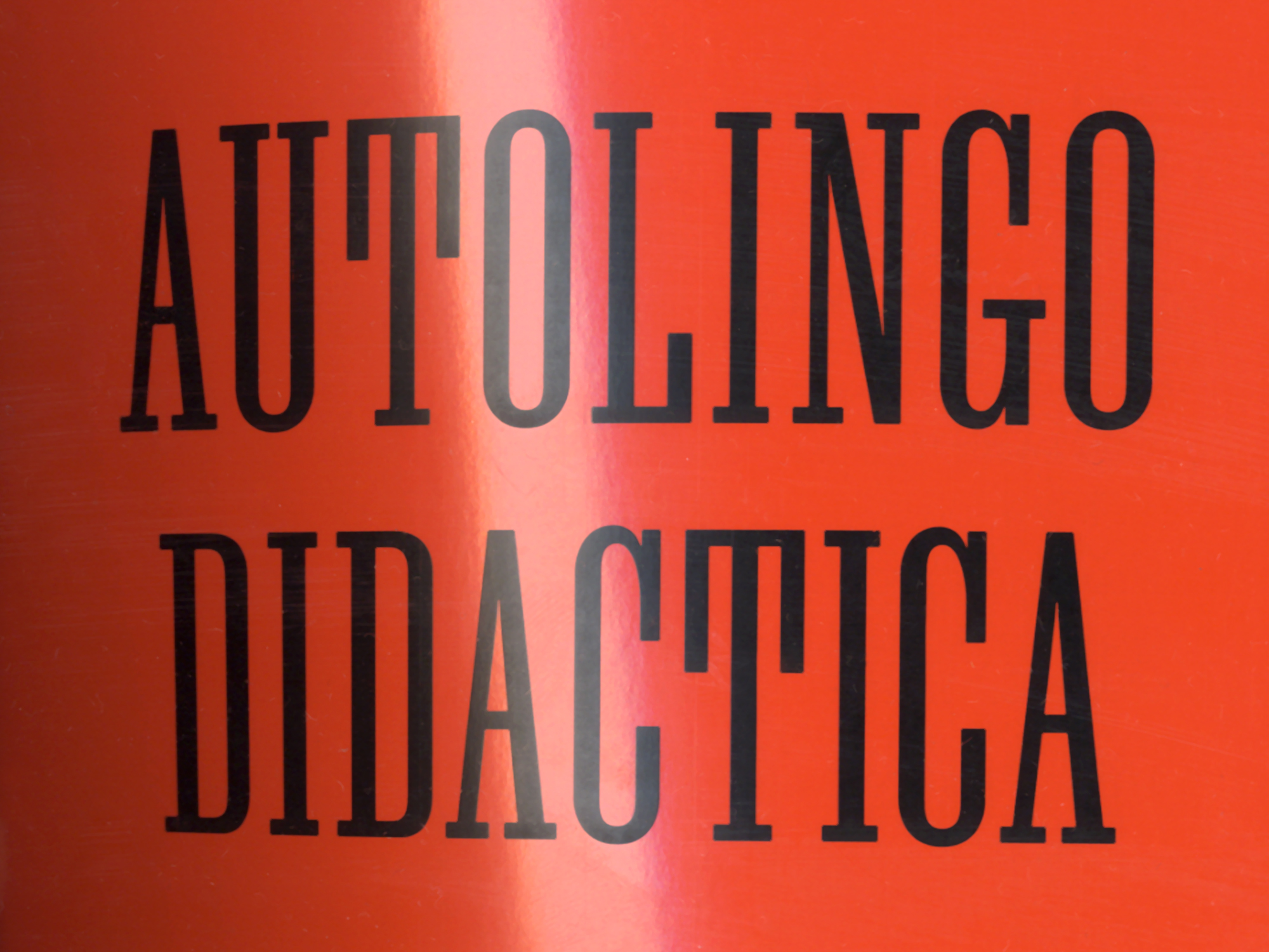 Autolingo Didactica cover detail