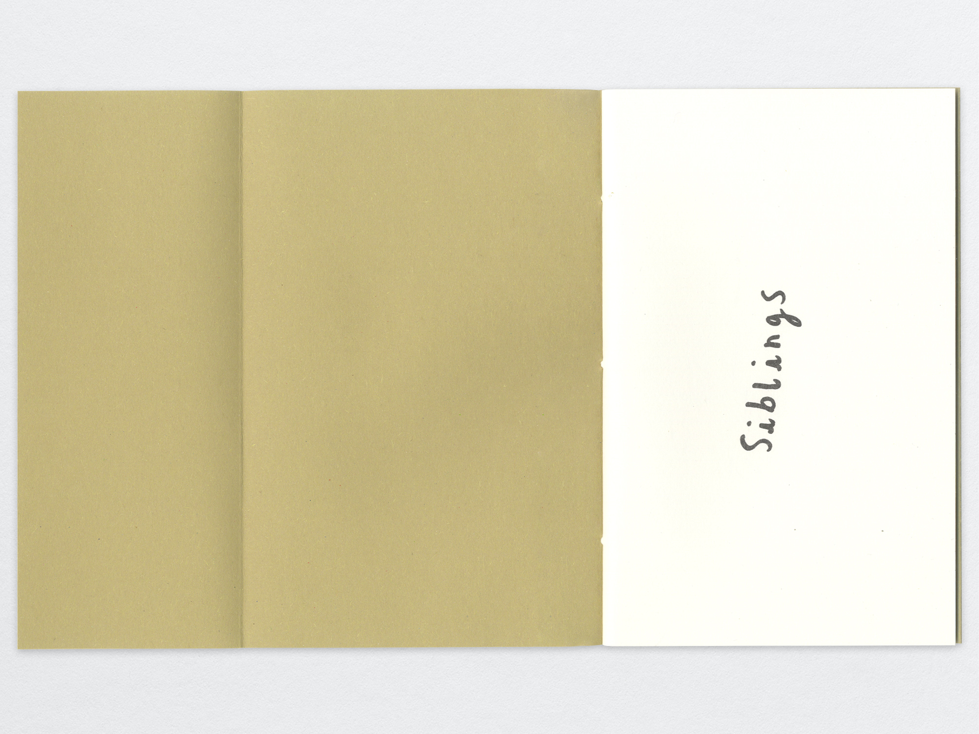 Siblings inside cover