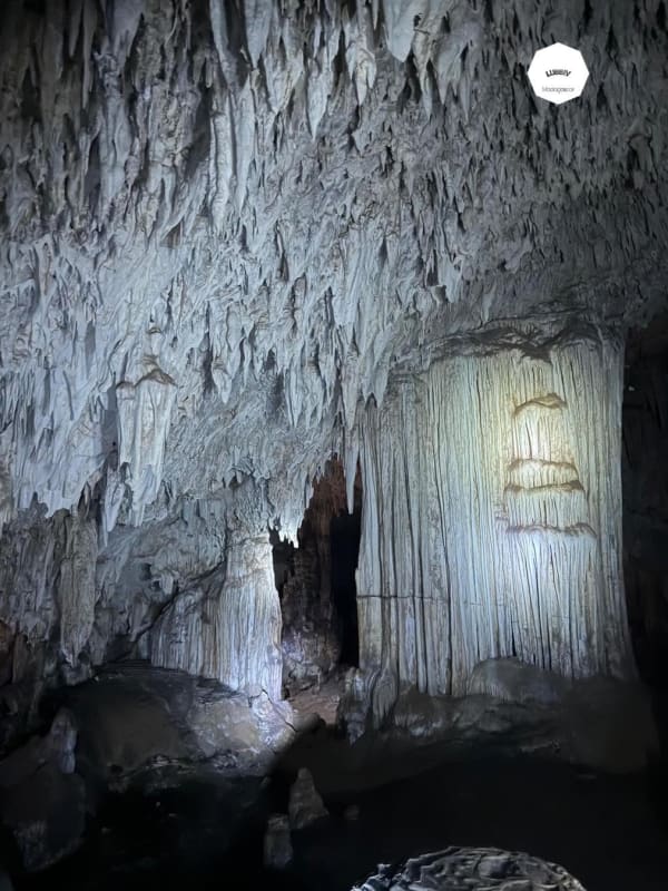 Salle de la grotte d'Anjohibe : stalactites et draperies calcaires éclairées au-dessus d'un plan d'eau sombre