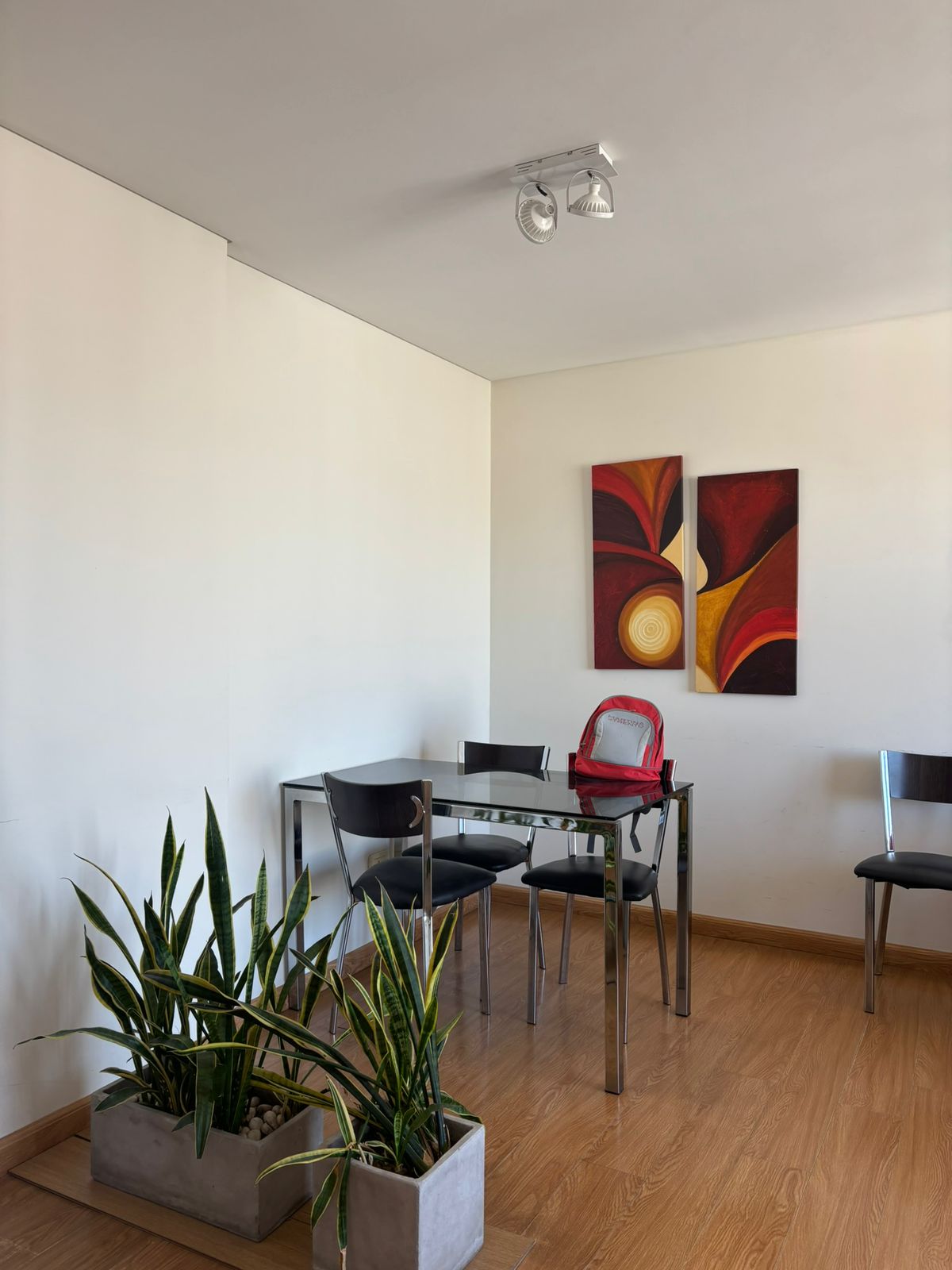 WhatsApp Image 2026-02-19 at 5.46.28 PM (2)