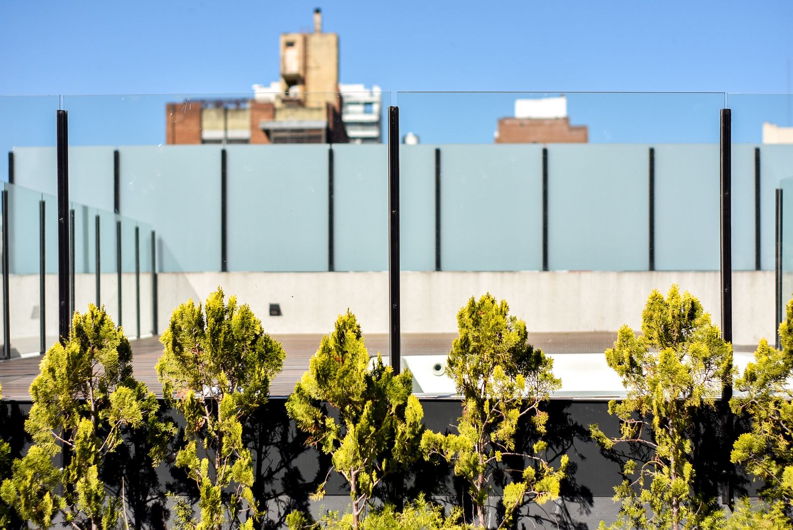 WhatsApp Image 2026-02-20 at 11.37.07 AM (3)