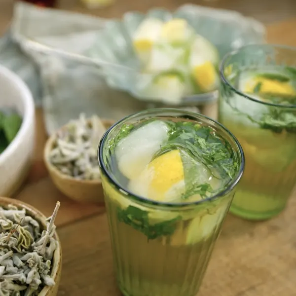Infusion glacée sauge, menthe et citron