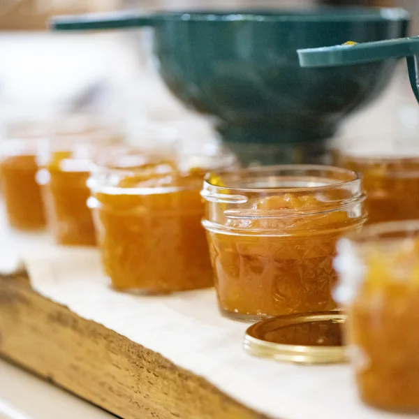 La mise en conserve pour débutant