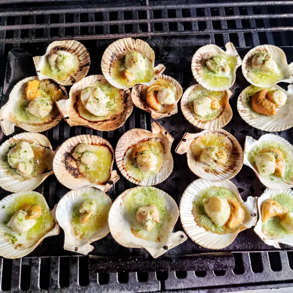 Coquilles Saint-Jacques allégées