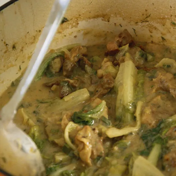 Ragoût fenouil et gourganes