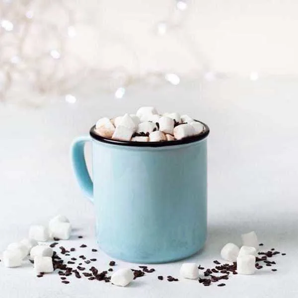 Chocolat chaud à la mijoteuse