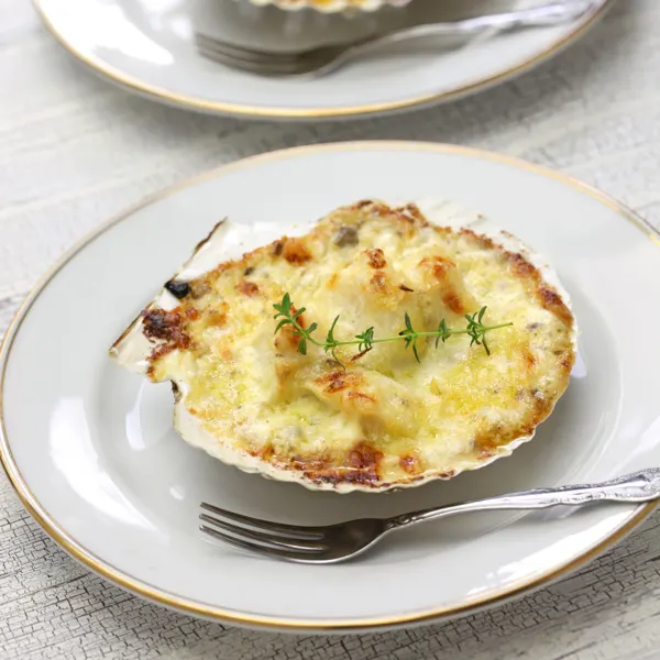 Coquille St-Jacques