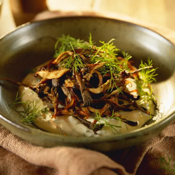 Chips de pleurotes « sel et vinaigre »