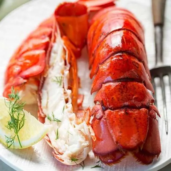 La cuisson du homard: le guide